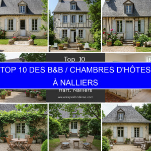 Top 1 des B&B / Chambres d'hôtes à Nalliers